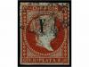 Lot 884