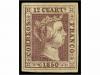 Lot 31