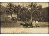 ✉ ESPAÑA. 1902. LAS PALMAS a TURIN (Italia). Tarjeta postal,