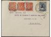 Lot 529