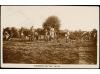 ✉ SUDAN. 1930 (13-2). ON THE NILE to LONDON. Postcard franke