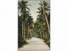 ✉ FILIPINAS. 1911. GUAM to U.S.A. Postcard with 1 ctvo. USA 
