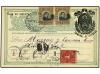 Lot 3557