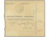 ✉ BOSNIA-HERZEGOVINA. 1919. PARCEL RECEIPT. SARAJEVO to OSIE