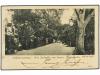 ✉ SURINAM. 1904. PARAMARIBO a AUSTRIA. Tarjeta postal con fr