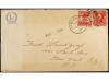 Lot 1955