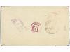 ¿ COOK. 1895. RAROTONGA to NEW YORK. Envelope franked with 1