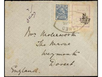 Lot 2810