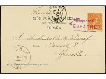 Lote 501