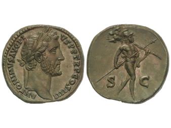 Lote 85