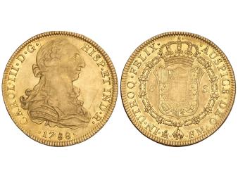 Lote 151
