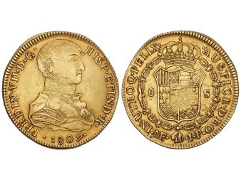 Lote 187