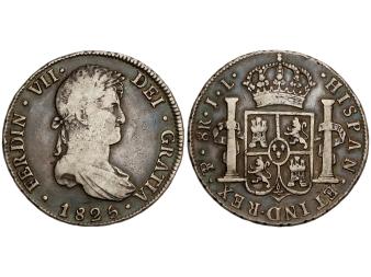 Lote 1304