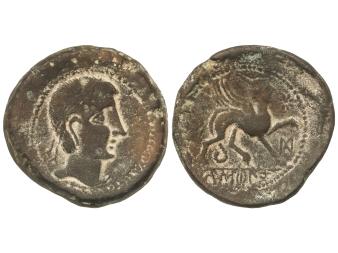 Lote 1031