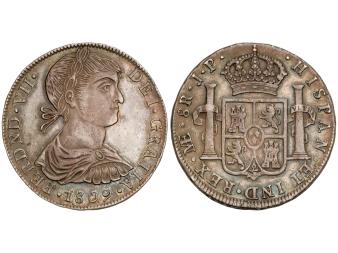 Lote 176