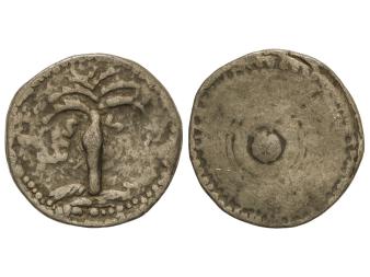 Lote 1231