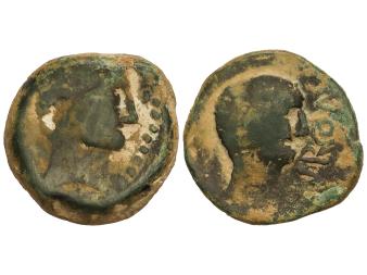 Lote 1054