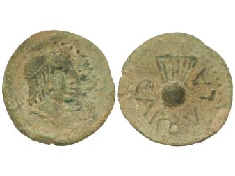 Lote 1029