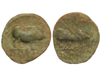 Lote 1067