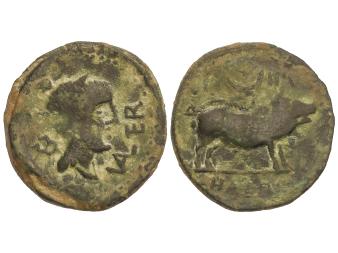 Lote 1051