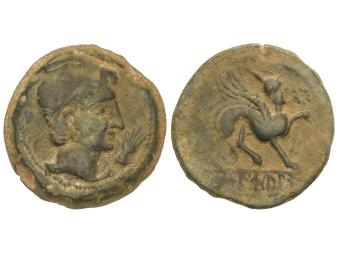 Lote 1033