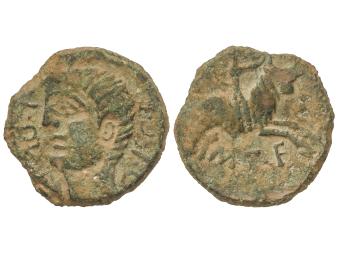 Lote 1038
