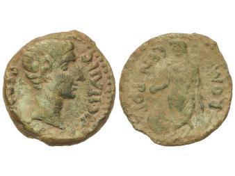 Lote 1055