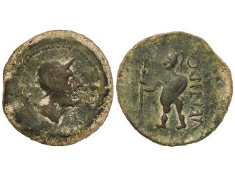 Lote 1083