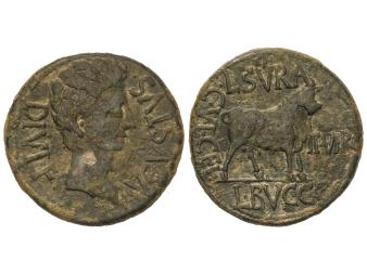 Lote 1043