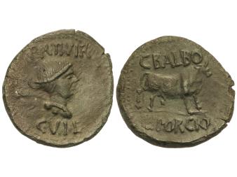 Lote 1041