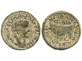 Lote 1044