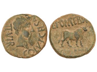 Lote 1042