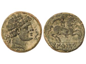 Lote 1046