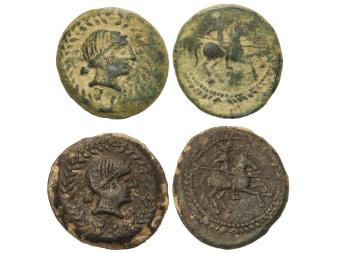 Lote 1095