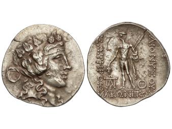 Lote 7