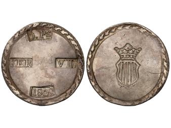 Lote 335