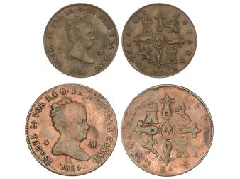 Lote 1335