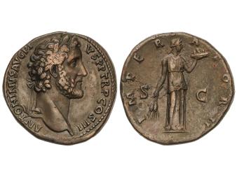 Lote 1136