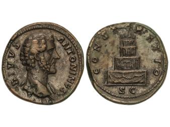 Lote 1135