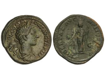 Lote 1139