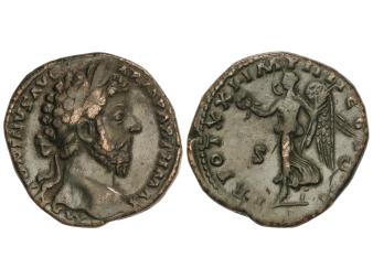Lote 1137