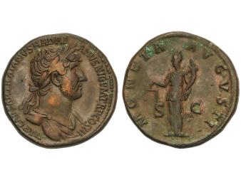 Lote 1128