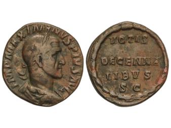 Lote 1146
