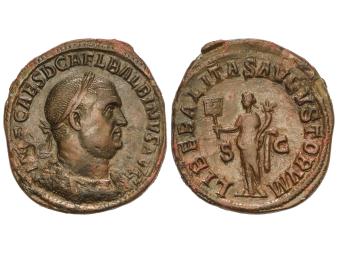 Lote 135