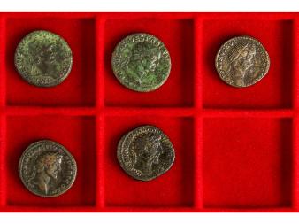 Lote 1167