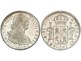 Lote 291