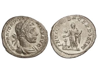 Lote 1141