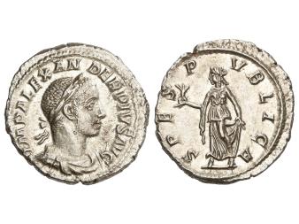 Lote 1143