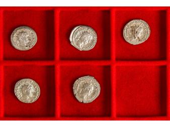 Lote 1162