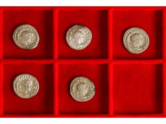 Lote 1157
